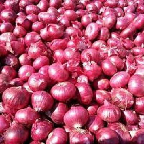 Enhance The Flavor Organic Rich Healthy Natural Taste Fresh Red Onion Moisture (%): 63-83%