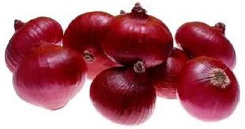 Enhance The Flavor Rich Healthy Natural Taste Fresh Organic Red Onion