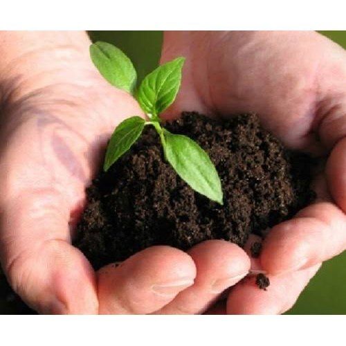 Lower Levels of Harmful Chemicals Black Organic Bio Fertilizer, Help to Improve Plant Growth