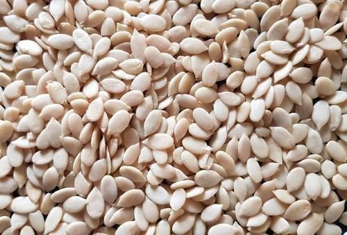 Melon Seed Natural And Organic Brown Color Wheat Grain With High Nutritious Values