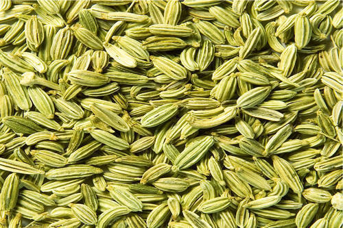 Natural Taste Raw Fennel Seed With High Nutritional Value And Fine Fragrance