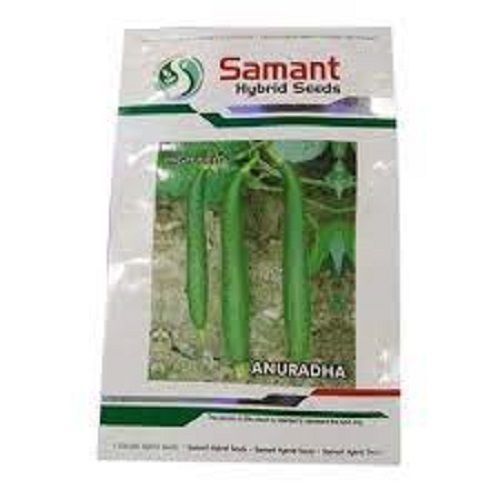 100% Organic Fresh Enhances Vision Promotes Weight Loss Samant Ridge Gourd Seeds