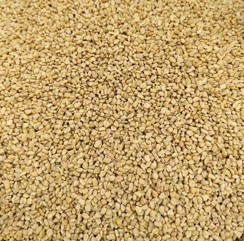 100% Pure Brown Color Organic Fenugreek Seed For Agriculture, Cooking