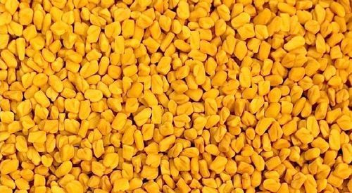 Yellow Fresh And Natural Fenugreek Seeds With High Nutritious Values And Long Shelf Life