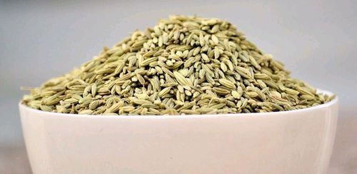 Fresh Fennel Seeds Good For Heart Health And Weight Loss With Light Aroma