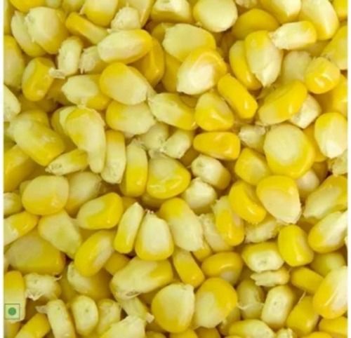 Fresh Sweet Corn Seed With High Nutritious Values And Rich Taste