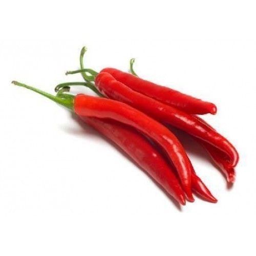 Handpicked, Very Spicy And No Artificial Colour Fresh Organic Red Chilli 