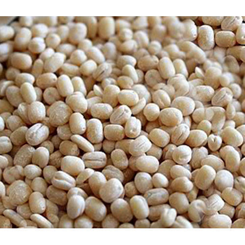 Common Healthy And White Dried Urad Dal With 12 Months Shelf Life And Rich In Vitamin C