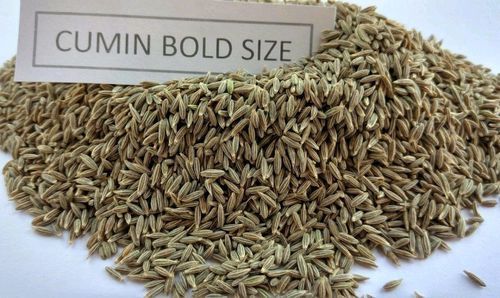 Pure Fresh Cumin Bold Seeds With High Nutritious Value And Rich Taste