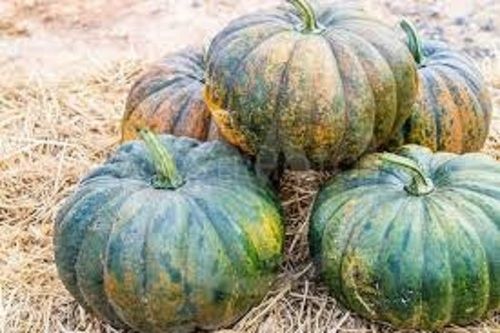 100% Fresh Rice In Iron Calcium And Minerals Round Shape Healthy Pumpkin Green Moisture (%): 0.0%