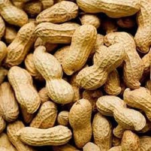 100% Organic Healthy Tasty Rich In Vitamin Nutrition And Minerals Peanuts