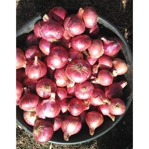 100 Percent Fresh And Pure A Grade Red Onion With Potassium Or Vitamin C