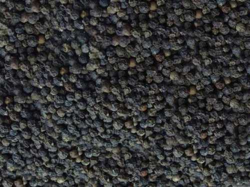 Black Pepper For Cooking And Snack Use, Good For Health, Free From Contamination