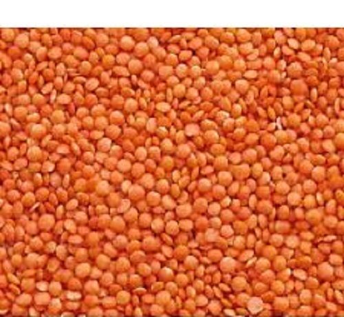 Easy To Cook Rich in Protein Natural Taste Dried Organic Red Masoor Dal