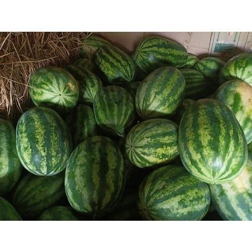 Fresh And Green Water Melon With Rich Taste And High Nutritious Values