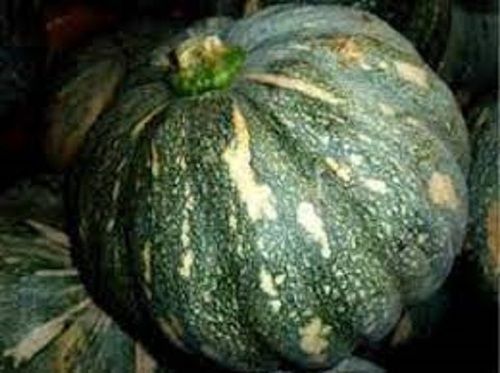 Fresh Healthy Rich In Protein Minerals And Vitamin Boost Immune System Round Shape Pumpkin