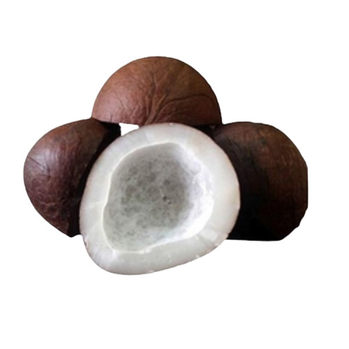 Healthy Vitamins And Minerals Enriched Dried Organic Coconut Copra at
