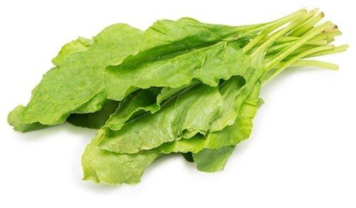 Hygienically Packed, Graded, Sorted, Premium Quality, Fresh And Organic Green Spinach