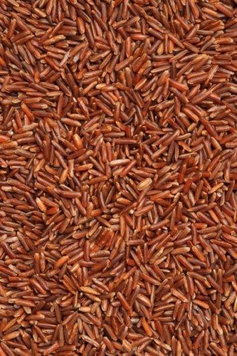 Medium Grains Organic Brown Rice 1 Kg With 12 Months Shelf Life And Rich In Fiber