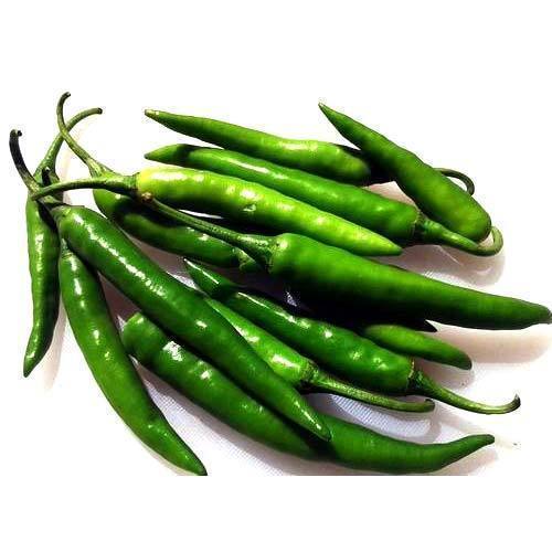 Naturally Grown, Dietary Fibre, Potassium, Magnesium Spicy And Farm Fresh Green Chilli Shelf Life: 7 Days