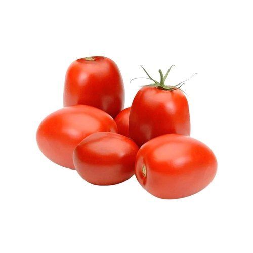 Naturally Grown, Graded, Sorted and A Grade Red Fresh Tomato