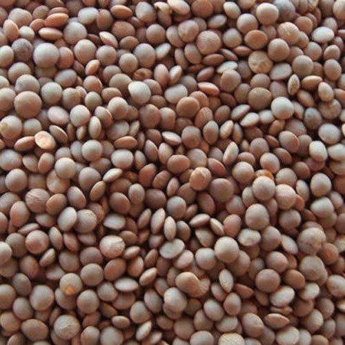 Purity 99 Percent Easy To Cook Rich in Protein Natural Taste Dried Organic Masoor Dal