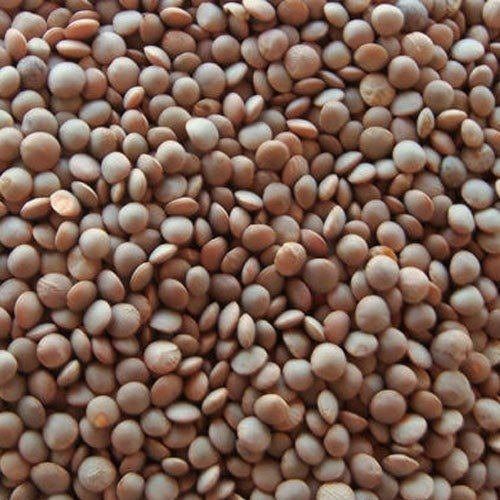 Purity 99 Percent Easy To Cook Rich In Protein Natural Taste Dried Organic Masoor Dal Broken (%): 2%