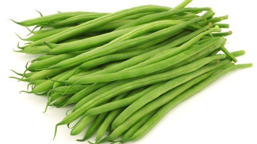 A Grade Fresh Green Beans With 2 Days Shelf Life And Rich In Vitamin C