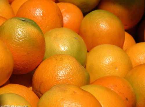 100 Percent Natural Fresh Mouthwatering And Sweet Taste Orange Fruit Rich In Vitamin C