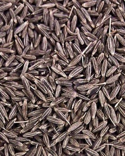 A Grade 100% Pure Fresh And Healthy Minerals Enriched Cumin Seed