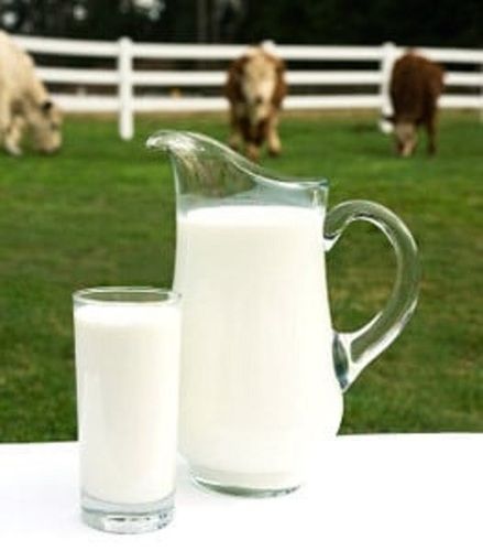 Fresh Cow Milk With 1 Day Shelf Life and Rich in Calcium and Vitamin D