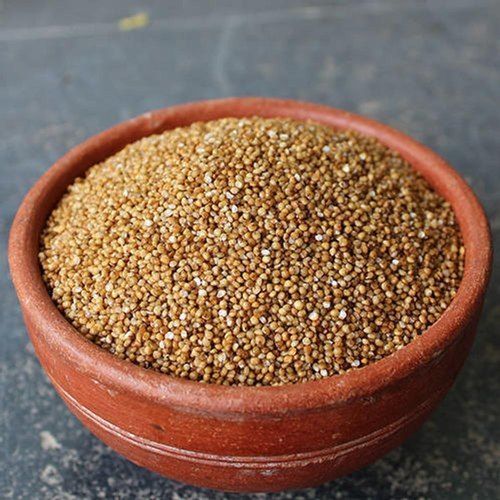 High Quality, Reasonable Rates, Rich in Vitamins, Minerals and High In Protein Organic Foxtail Millet