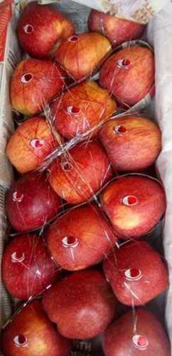 Red Delicious And Juicy 100 Percent Healthy Fresh Apples Help In Easy To Digest