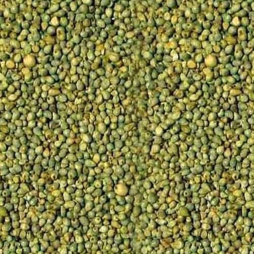 Rich Source of Fiber, High-quality, Gluten-free Protinex Feed Indian Green Millet Organic 