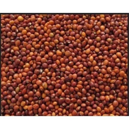 Wholesale Price Export Quality Dried And Cleaned Brown Orgnic Toor Dal With 99% Purity For Cooking
