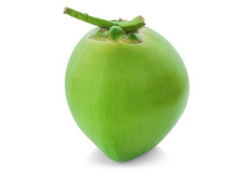 100% Pure Natural and Fresh A Grade Solid Green Tender Coconut