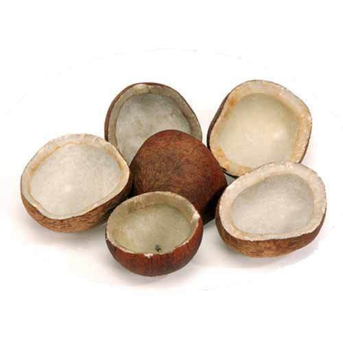 A Grade 100% Pure and Natural Brown Healthy Dry Copra Coconut for Pooja