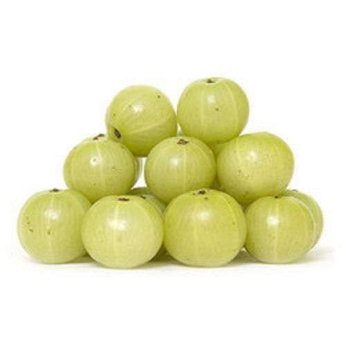 Common A Grade 100% Pure And Natural Fresh Organic Green Amla