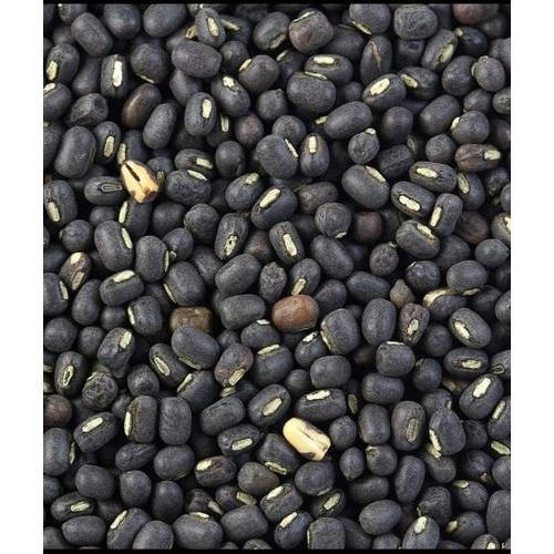 A Grade 100% Pure Natural And Dry Organic Black Gram for Cooking