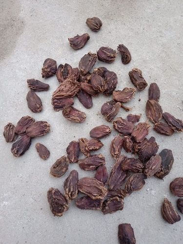 A-Grade Natural And Organic 100% Pure Fresh Dried Black Cardamom (Elaichi) Grade: A