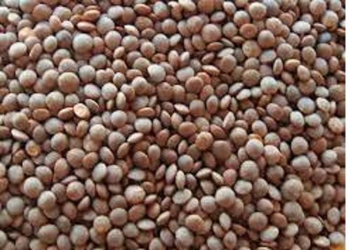 A-Grade Nutritent Enriched Fresh Organic 100% Pure Brown Masoor Dal