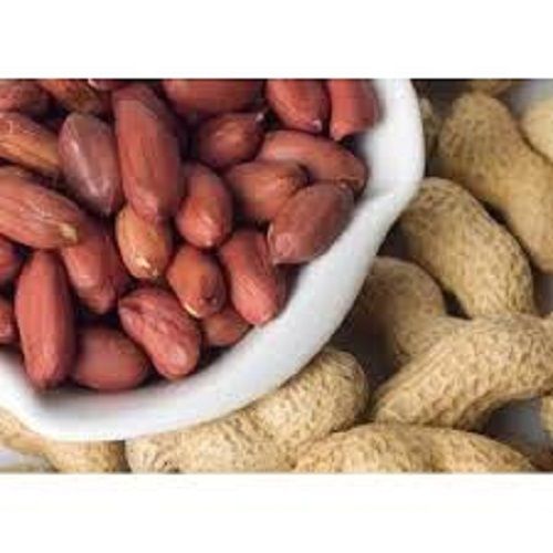 Good Source Of Potassium Phosphorous Magnesium And B Nutrients Organic Dried Raw Peanuts