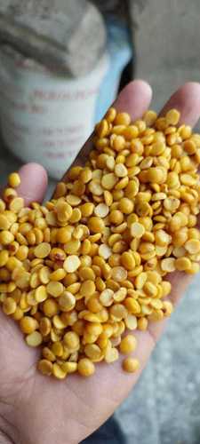 Wholesale Price Export Quality Natural Toor Dal With High Purity & Nutrients