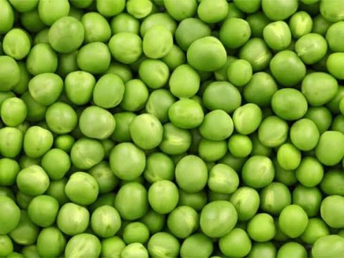 100% Farm Fresh Organic Frozen Whole Green Peas, No Artificial Color