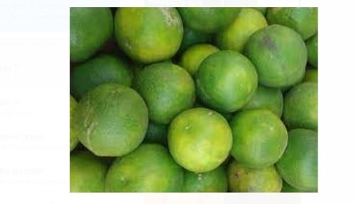 100% Fresh And Natural Green Sweet Lime Fruit For Promote Bone Health