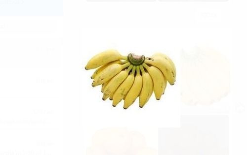 100% Fresh And Organic Karpooravalli Banana Fruit With High Potassium And Calories
