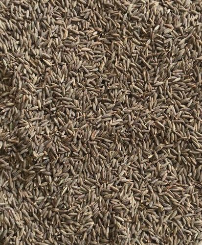 Rich In Taste, Long Shelf Life Brown Dried Raw Cumin Seeds For Cooking, 1 Kg