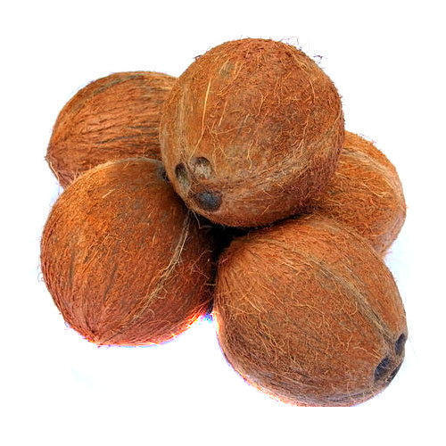 A Grade 100% Pure And Natural Semi Husked Matured Coconut