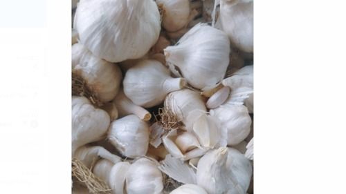 99% B Grade Organic And Natural White Garlic For Cooking, Vegetable, 1 Kg