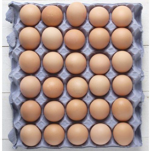 Good Quality Brown Hatching Eggs For Hatchery India 85 Percent Hatchability